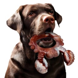 Dog Toys for Aggressive Chewers Dog Toy Interactive Dog Toys for Large Dog Chew Toys for Aggressive Chewers,Dinosam Indestructible Dog Toy for Medium - Thumbnail 3