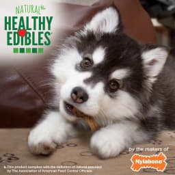 Nylabone Healthy Edibles Wild Dog Treats for Puppies, Puppy Training Treats, Turkey Flavor Dog Bones, Small - Up to 30 lbs. (4 Count) - Thumbnail 5