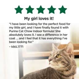 Purina Cat Chow Indoor Healthy Weight and Hairball Dry Cat Food With Chicken, 15 lb - Thumbnail 8