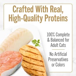Purina Fancy Feast Petites Gravy Collection Wet Cat Food, Variety Pack, 2.8 oz (24 Pack) - Thumbnail 5