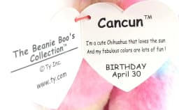 Ty Beanie Boos Cancun Chihuahua Plush, Pink - Thumbnail 3