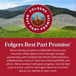 Folgers Classic Roast Ground Coffee, Medium Roast, 25.9 oz Canister - Thumbnail 6