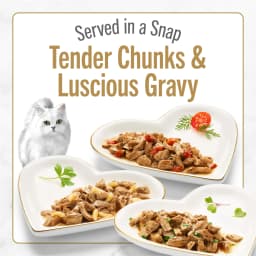 Purina Fancy Feast Petites Gravy Collection Wet Cat Food, Variety Pack, 2.8 oz (24 Pack) - Thumbnail 3