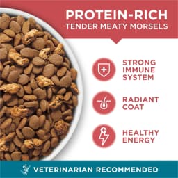 Purina ONE Tender Select Blends Dry Cat Food, Salmon, 16 lb Bag - Thumbnail 3