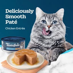 Blue Buffalo Tastefuls Natural Wet Cat Food, Adult, Chicken Paté, 5.5-oz. Can - Thumbnail 4