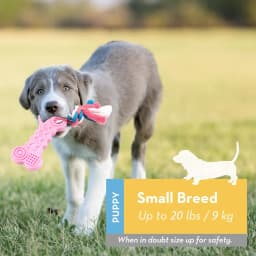Syenll 2 Pack Dog Chew Toys, Rubber Puppy Teething Toys with Rope, Interactive Treat Set for Small Dogs Pets, Pink+Green - Thumbnail 2