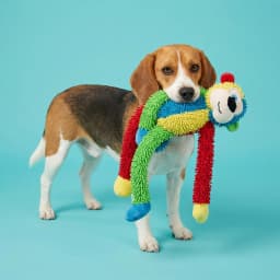 Vibrant Life Multicolor Monkey Plush Dog Toy with Squeakers, Chew Level 1 - Thumbnail 2