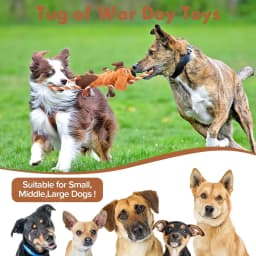 Xekoro Squeaky Dog Toys, Tug of War Dog Toy for Large Dogs, Plush Puppy Toys with Pull Rope, Interactive Dog Toys for Small, Middle, and Big Dogs - Thumbnail 9