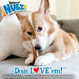 Nylabone Nubz Meaty Center Dog Treats for Large Dogs, Beef Flavor Dog Bones, Large - 30+ lbs., 2 Count - Thumbnail 5