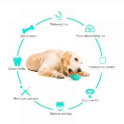 Dog Teething Toys Ball Non Toxic Durable Dog IQ Puzzle Chew Toys for Puppy Small Large Dog Teeth Cleaning/Chewing/Playing/Treat Dispensing Dog Toys - Thumbnail 7