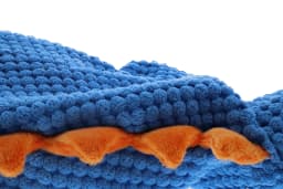 Play 365 Jurassic Flatties Squeaky Diplo Dog Toys, Blue, Small - Thumbnail 3