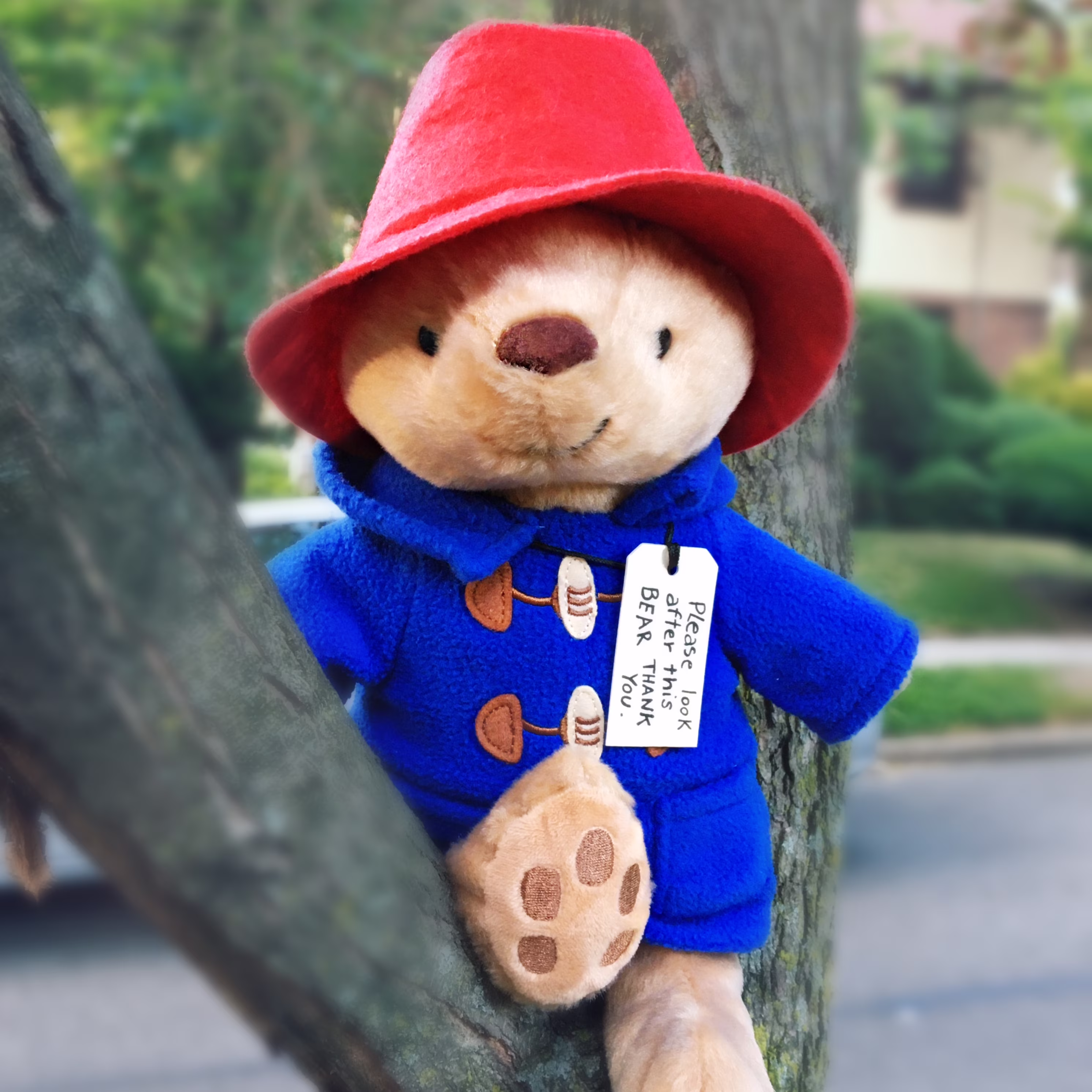 YOTTOY Paddington Bear Collection | Classic Seated Paddington Bear Soft Stuffed Plush Toy- 8.5"H - Thumbnail 4