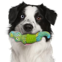 Aelflane Tough Dog Toys,Dog Toys for Aggressive Chewers,Indestructible Dog Toys for Large Breed,Durable Dog Toys for Large Dogs,Bacon Flavor,Green - Thumbnail 3