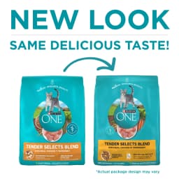 Purina ONE Tender Select Blends Dry Cat Food, Chicken, 22 lb Bag - Thumbnail 2