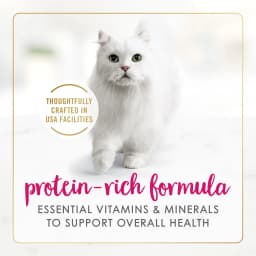 Purina Fancy Feast Chicken Feast Classic Grain Free Wet Cat Food Pate, 3 oz, 24 Pack - Thumbnail 3