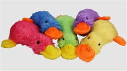 Multipet Plush Duckworth Dog Toy with Squeaker, 13 inches, Assorted Colors - Thumbnail 5