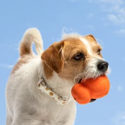 Oodles Durable Rubber Orange Fillable Interactive Dog Treater, Medium - Thumbnail 6