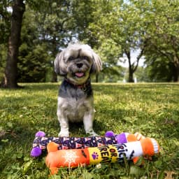 Multipet Halloween 12” Smiling Dog 2pc Dog Toy Value Pack - Thumbnail 11