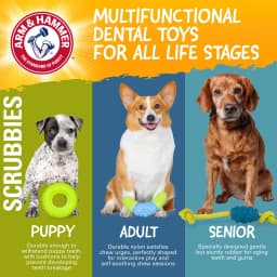 Arm & Hammer Scrubbies Throw N' Tug Adult Dental Dog Chew Toy Small - Thumbnail 10