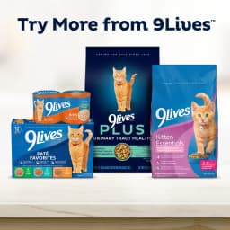 9Lives PLUS Urinary Tract Health Dry Cat Food, 15.5 lb. Bag - Thumbnail 7