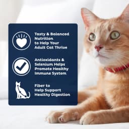 9Lives PLUS Urinary Tract Health Dry Cat Food, 15.5 lb. Bag - Thumbnail 5