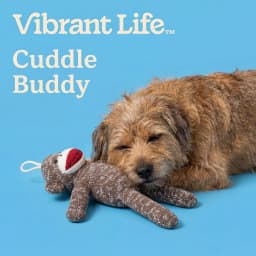 (2 pack) Vibrant Life Brown Sock Monkey Plush Dog Toy with Squeaker, Chew Level 1 - Thumbnail 5