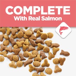 Purina Cat Chow Complete High Protein Dry Cat Food with Real Salmon, 15 lb Bag - Thumbnail 3
