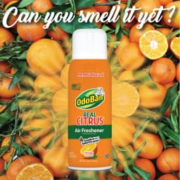 OdoBan Aroma Eliminator, 360-Degree Continuous Spray Natural Oil Real Citrus Air Freshener, Toilet Spray, 10 Ounces, Orange Scent - Thumbnail 4