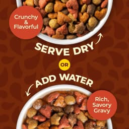 Meow Mix Gravy Coated Kibble Mix, Chicken Flavor Dry Cat Food, 3 Lb. Bag - Thumbnail 3