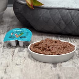 Vibrant Life Tuna Cuts in Gravy Wet Cat Food, Grain-Free, 2.64 oz Premium Portions Split Tray - Thumbnail 2