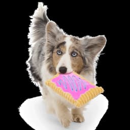 BARK Box Toaster Pup Pastry Squeaky Crinkle Plush Dog Toy - Thumbnail 6