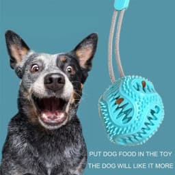 Pets Dog Chew Toys TPR Sucker Chews Interactive Puzzle Suction Cup Toys Suitable for Small Medium Large Dogs - Thumbnail 3