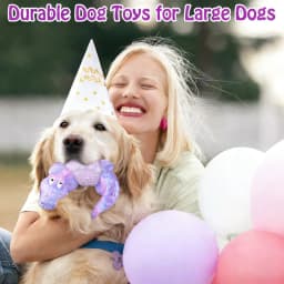 Pet Deluxe Dog Toys for Super Aggresive Chewers Indestructible Interactive Tough Dog Chew Crocodile Toy Heavy Duty Durable Toys Teeth Cleaning - Thumbnail 6