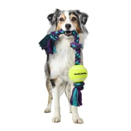 Mammoth Flossy Chews Cottonblend 3 Knot Tug with 4" Tennis Ball Rope Dog Toy, Large, 24", Assorted Colors - Thumbnail 2