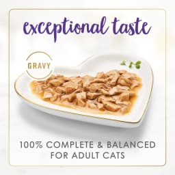 Purina Fancy Feast Gravy Lovers Wet Cat Food, Chicken & Beef in Gravy, 3 oz Can - Thumbnail 2