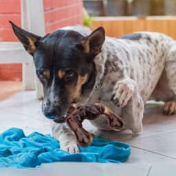 Aelflane Dog Toys for Aggressive Chewers, Dog Chew Toys,Indestructible Dog Toys for Large Breed, Bacon Flavored - Thumbnail 8