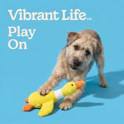Vibrant Life Yellow Duck Plush Dog Toy with Squeaker, Chew Level 4 - Thumbnail 4