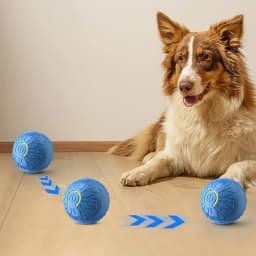 Kyusrd Interactive Dog Toys Dog Ball 2025 New Motion Activated Automatic Rolling Ball Toy for Small/Medium Dogs USB Rechargeable - Thumbnail 2