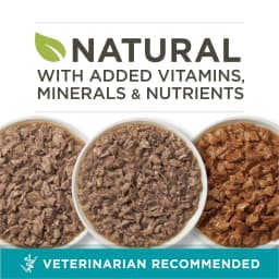 Purina ONE Natural, High Protein Wet Cat Food Variety Pack, Turkey, Chicken and Tuna Recipes, 3 oz, 12 Pack - Thumbnail 2