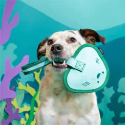 BARK Super Chewer Flingray Tug Ocean Sting Ray Blue Rubber Dog Toy - Thumbnail 7