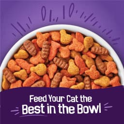Purina Friskies Surfin and Turfin Dry Cat Food Flavors of Chicken, Whitefish, Salmon and Filet Mignon, 30 lb - Thumbnail 2