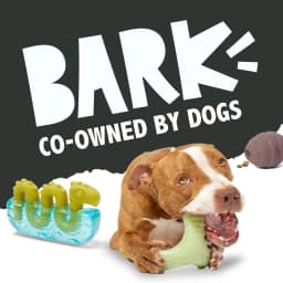 Snorbax Dragon Plush Chew Toy for Medium Dogs - Thumbnail 8