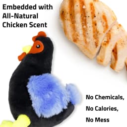 Playology Dog Toys | Interactive Stuffed Animal Hen, Chicken Scented Plush Toy, Medium - Thumbnail 2