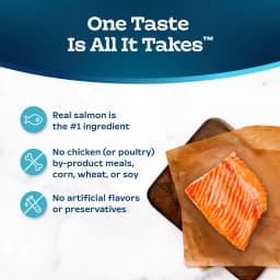 Blue Buffalo Tastefuls Dry Food, Adult Indoor Cat, Salmon and Brown Rice, 5-lb. Bag - Thumbnail 6