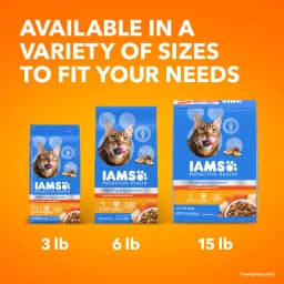 Iams Healthy Enjoyment Chicken & Salmon Recipe Dry Cat Food, 3 Lb Bag - Thumbnail 5