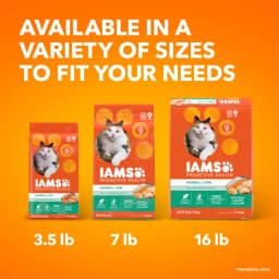 Iams Proactive Health Chicken And Salmon Dry Cat Food, 7 Lb Bag - Thumbnail 11
