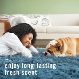 Febreze Fabric Spray Air Freshener, Odor-Fighting Fabric Refresher, Pet Odor Fighter, 23.6 fl oz - Thumbnail 9