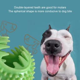 Pet Dog TPR Sucker Chews, Molars And Cleans Teeth Interactive Leaking Toy - Thumbnail 4