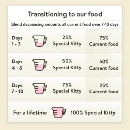 Special Kitty Special Supper Dinner Pate Wet Cat Food, 13 oz Can - Thumbnail 8