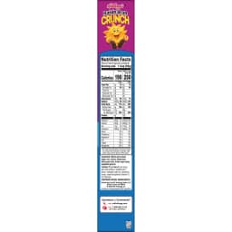 Kellogg's Raisin Bran Crunch Crunch Breakfast Cereal, Good Source of Fiber, 15.4 oz - Thumbnail 14